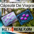 Cápsula De Viagra 37